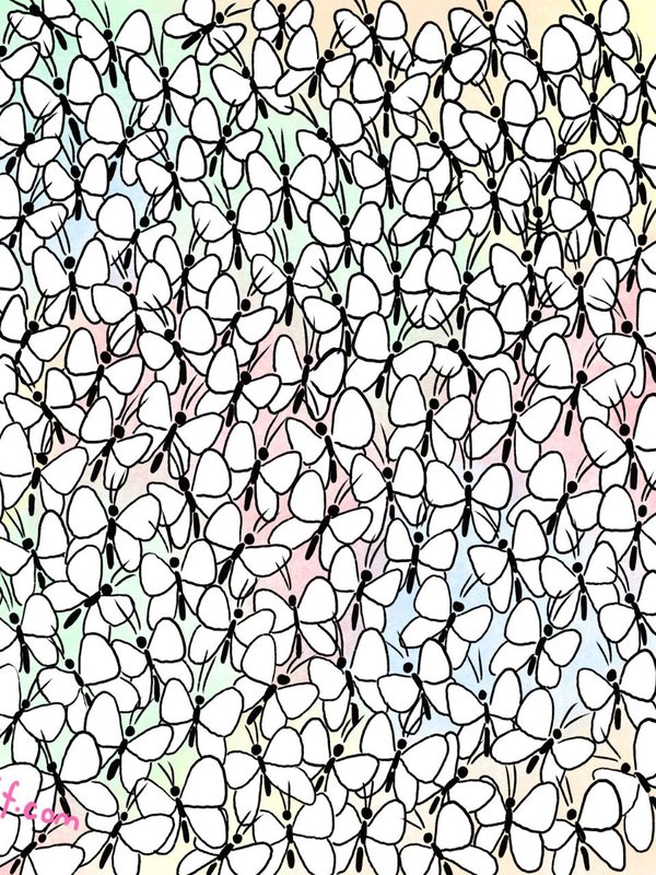 optical illusions game