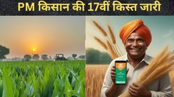 काशी से पीएम मोदी की किसानों को बड़ी सौगात, जारी हुई पीएम किसान की 17वीं किस्त, ऐसे चेक करें स्टेटस