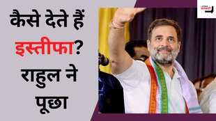 rahul resignation wayanad seat| raebareli seat