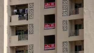 society flats