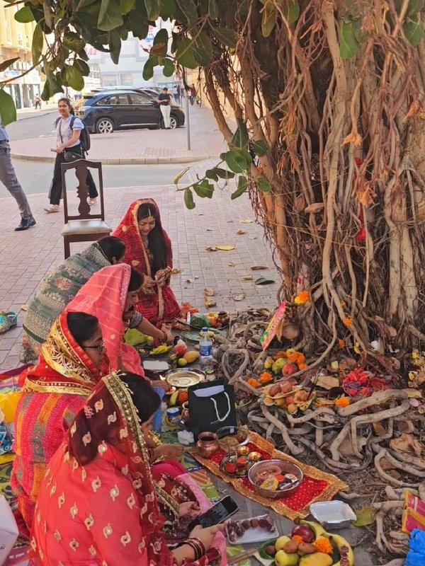 Vat savitri purnima 2024, vat savitri 2024, vat savitri purnima, vat savitri purnima kab hai, vat savitri purnima upay, vat savitri purnima totke,
