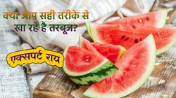 इस खास समय पर खाएंगे तरबूज, तो करेगा जहर की तरह असर, एक्सपर्ट से जानें Watermelon खाने का सही तरीका