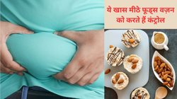 मीठा खाने के शौकीन हैं और तेजी से बढ़ गया है वजन, इन Low calorie डेजर्ट का हर दिन करें सेवन, वेट गेन का नहीं रहेगा खतरा
