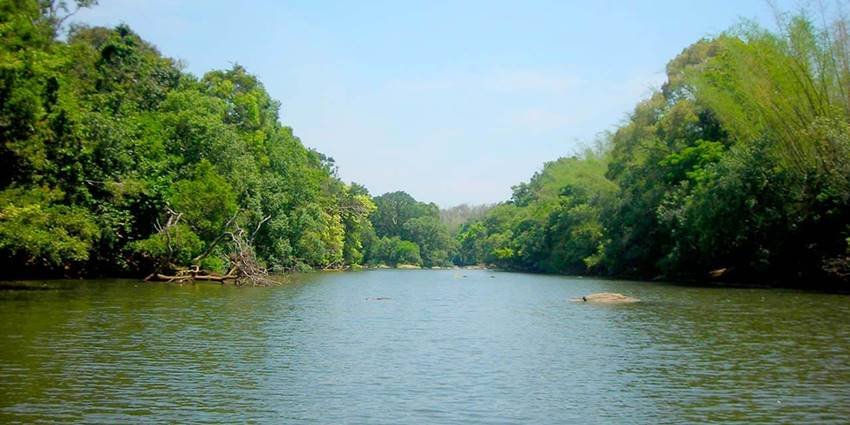 Lakkidi View Point