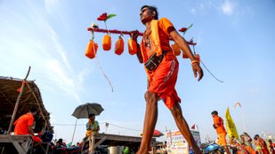 Avoid Gular tree Kanwar Yatra