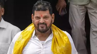 Brij Bhushan Sharan Singh, BrijBhushan Singh, BJP organization