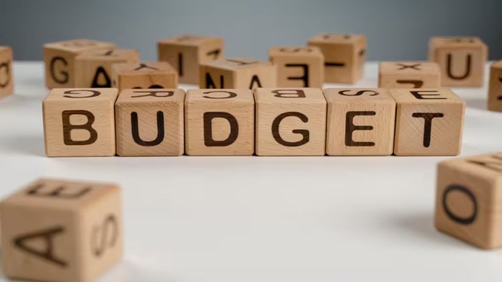 Budget, Budget 2024, MSME Sector