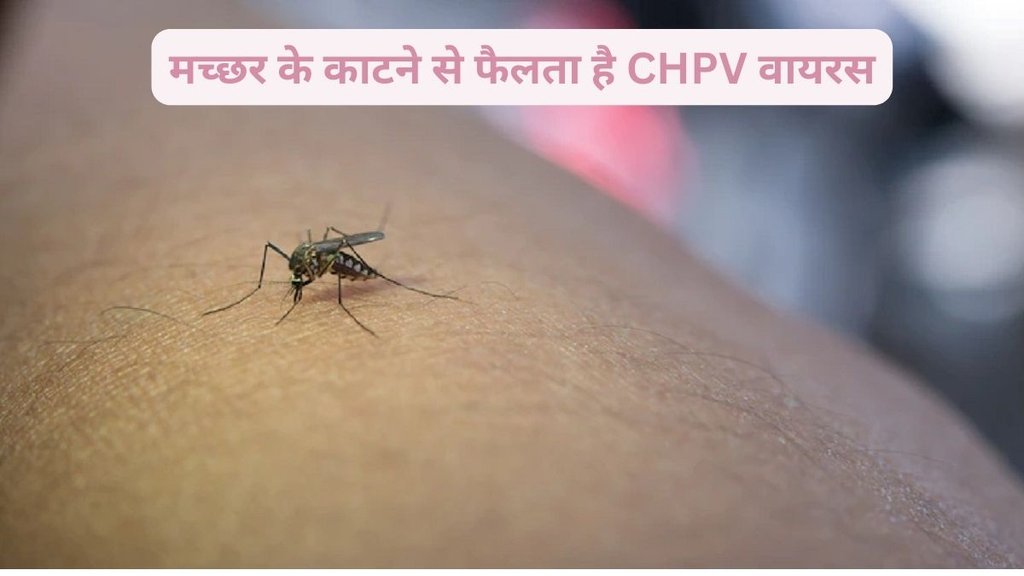 chandipura virus disease ,chandipura virus in gujarat,chandipura vesiculovirus ,what is chandipura virus ,chandipura virus symptoms in english,chandipura virus treatment