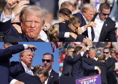 Donald Trump rally shooting/Donald Trump net worth and source of income
