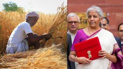 Budget 2024: बजट में किसानों को क्या मिला? वित्त मंत्री ने किए ये ऐलान