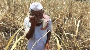 Jansatta Editorial, jansatta epapers, Budget, Farmers, Farmers debt