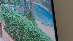 मोबाइल चलाने में व्यस्त था लाइफगार्ड, गुरुग्राम की सोसाइटी के स्विमिंग पूल में डूबने से 5 साल से मासूम की मौत