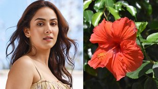 Mira Kapoor । Mira Kapoor Hair Care । Hair Growth Tips