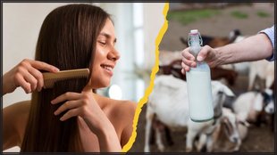 Goat Milk For Hair । Can goat milk be good for hair । How to wash hair with goat milk