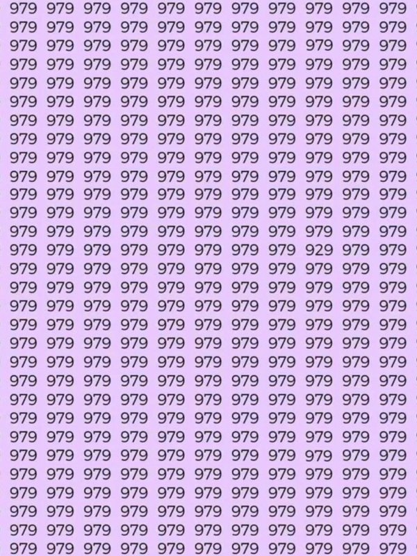 Hidden Number Challenge