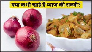 Onion Recipe । Easy Recipes in Hindi । pyaaz ki sabji