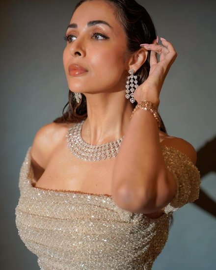 Malaika Arora glamorous dress