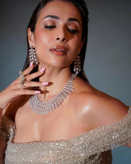 Malaika Arora sparkling fabric