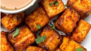 paneer pakora recipe on tawa