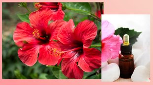 hibiscus conditioner for hair homemade