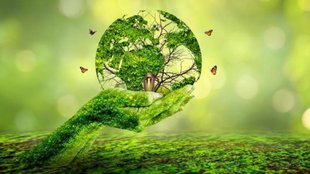 National Simplicity Day 2024 Date, History, Theme in Hindi