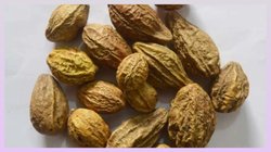 प्यूरीन मेटाबॉलिज्म को तेज कर सकता है हरड़ का पानी, जानें High Uric Acid के मरीजों को क्यों पीना चाहिए