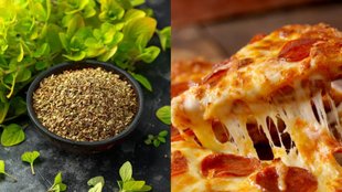 oregano in cooking apart from pizza