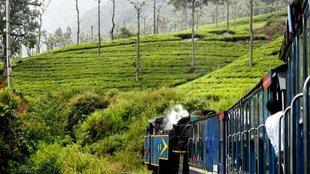 irctc ooty package 4 nights 5 days