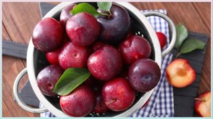 Plum uses benefits for skin in hindi