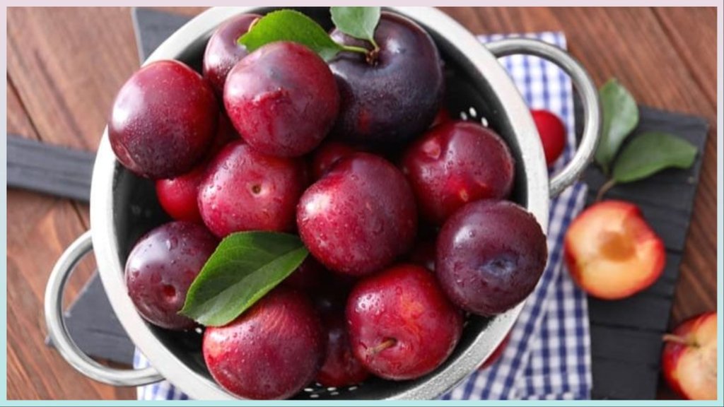 Plum uses benefits for skin in hindi