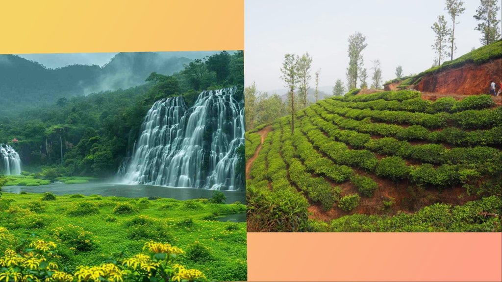 Wayanad top 10 tourist places