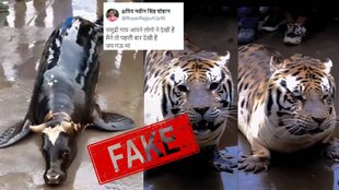 AI generated videos of non-existent animals