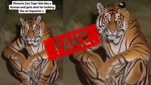AI generated video of tiger