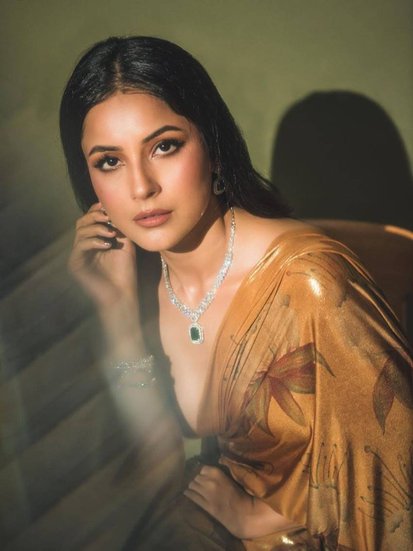 hehnaaz Kaur Gill Age