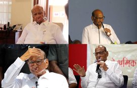 Sharad Pawar s empire, Net Worth, Property and Investment