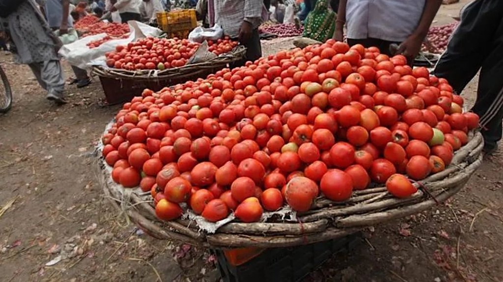 Tomato Price Hike, Tomato Price, tomato price surge