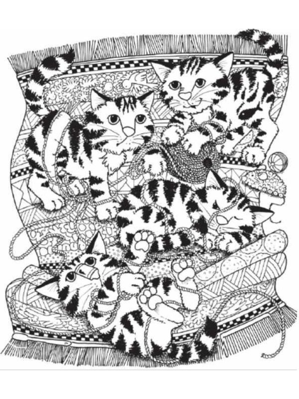 Visual perception test