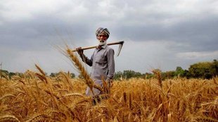 agriculture