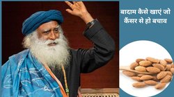 Soaked Almond: बादाम को भिगोकर खाने से क्या कैंसर का खतरा बढ़ता है, सदगुरु से जानिए क्या है सेवन करने का सुरक्षित तरीका