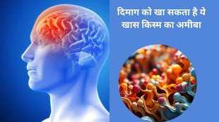 amoebic meningoencephalitis,brain-eating amoeba,amoeba brain infection,kerala boy dies rare brain-eating amoeba ,rare brain-eating amoeba death kerala,amoebic meningoencephalitis death