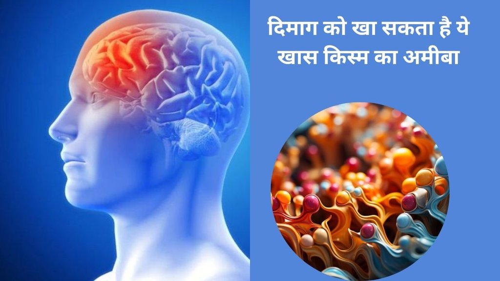 amoebic meningoencephalitis,brain-eating amoeba,amoeba brain infection,kerala boy dies rare brain-eating amoeba ,rare brain-eating amoeba death kerala,amoebic meningoencephalitis death