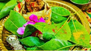 sawan belpatra, belpatra in shivling, Bel Patra Chadhane Ka Sahi Tarika, Bel Patra Chadhane Ka Mantra, Bel Patra Chadhane Ka niyam,
