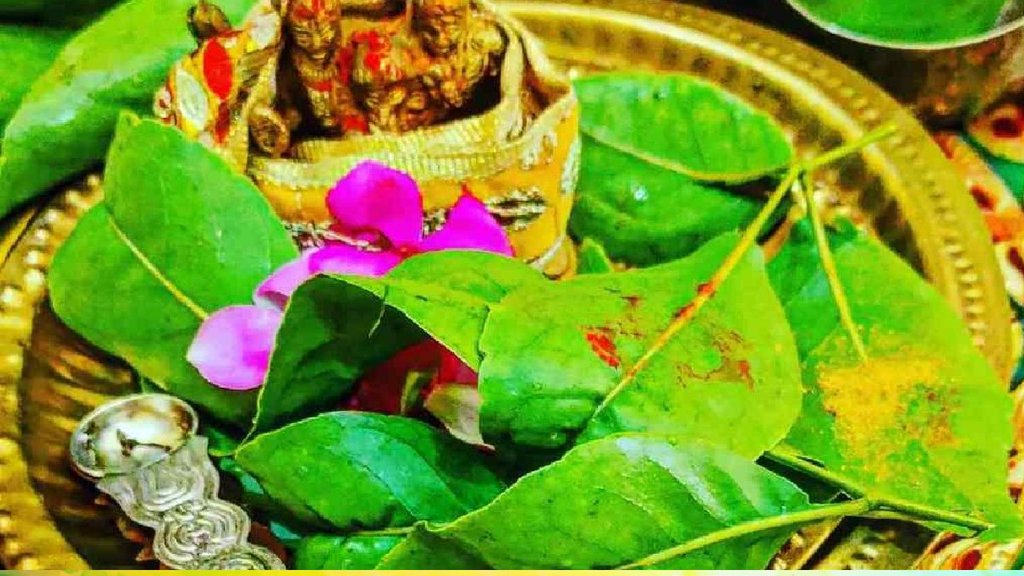 sawan belpatra, belpatra in shivling, Bel Patra Chadhane Ka Sahi Tarika, Bel Patra Chadhane Ka Mantra, Bel Patra Chadhane Ka niyam,