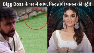Bigg Boss OTT 3, Payal Malik