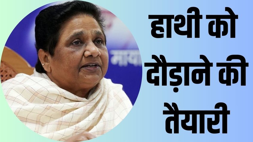 bsp| mayawati|