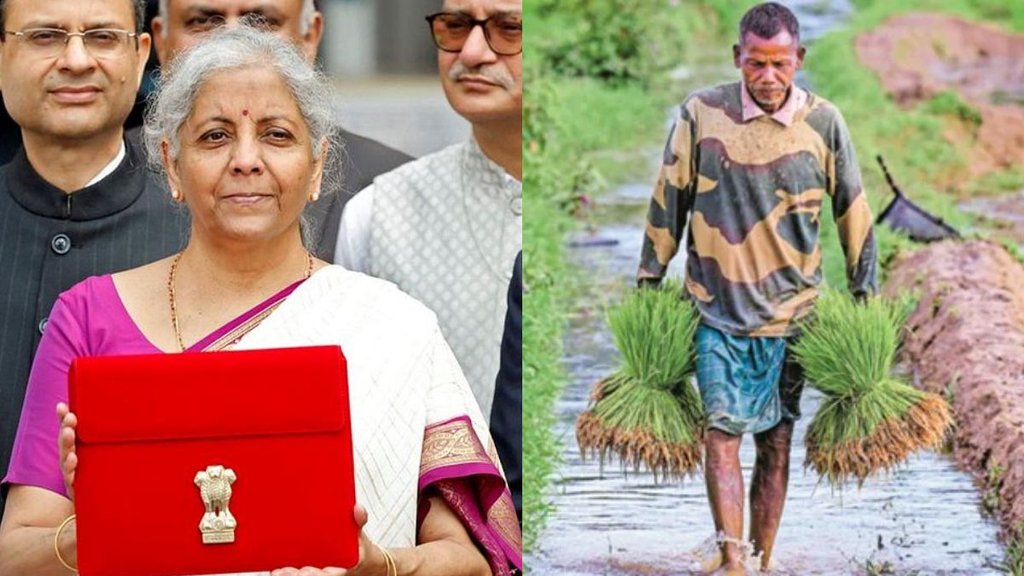 Budget , budget 2024 , natural farming