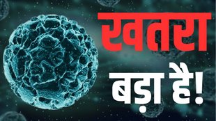 Chandipura Virus News, Chandipura, virus