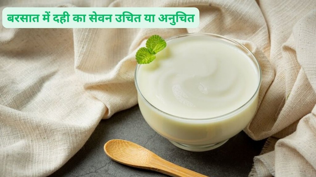 Is consume curd in the rainy season, Ayurveda, Naturopathy, Ayurvedic Medicine, Ayurveda Secrets, Benefits of Curd, Curd, Dahi Ke Fayade, Dahi Ke Laabh, dahi ke fayde,