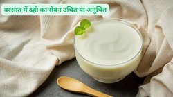 क्या बरसात के मौसम में दही खाने से हो जाता है सर्दी-जुकाम, आचार्य बालकृष्ण से जानिए मॉनसून में Curd खाना चाहिए या नहीं