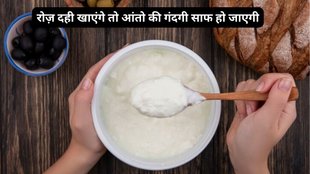 Yogurt Benefits,Yogurt,Dahi,dahi khane ke fayde,Benefits of Curd, curd benefits, Benefits of Curd for health, benefits of eating dahi,